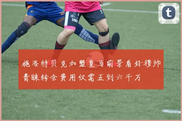 施洛特贝克加盟皇马前景看好穆帅青睐转会费用仅需五到六千万