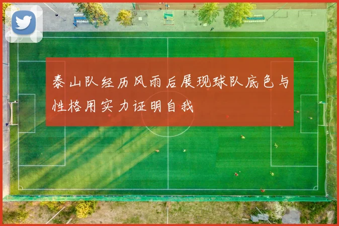 泰山队经历风雨后展现球队底色与性格用实力证明自我